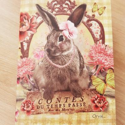 Carnet lapin 1