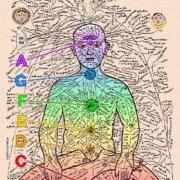 Chakras meridiens