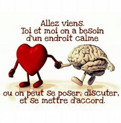 Connexion cerveau coeur