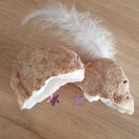 Geode double cristal de roche m03 2