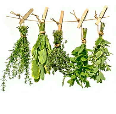 Herbes etheriques