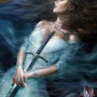 Magie de broceliande 1