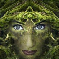 Magie de broceliande 2