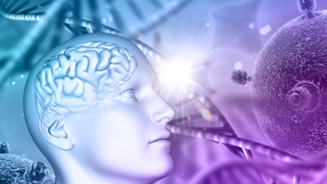 MÉMOIRES CELLULAIRES
