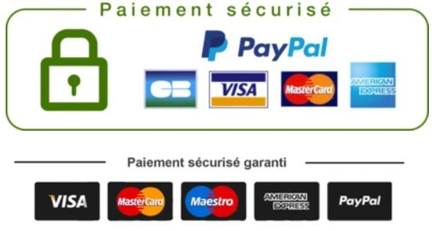 Paiement 100 securise 1