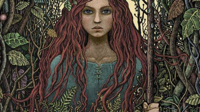 CELTES, DRUIDES & VIKINGS